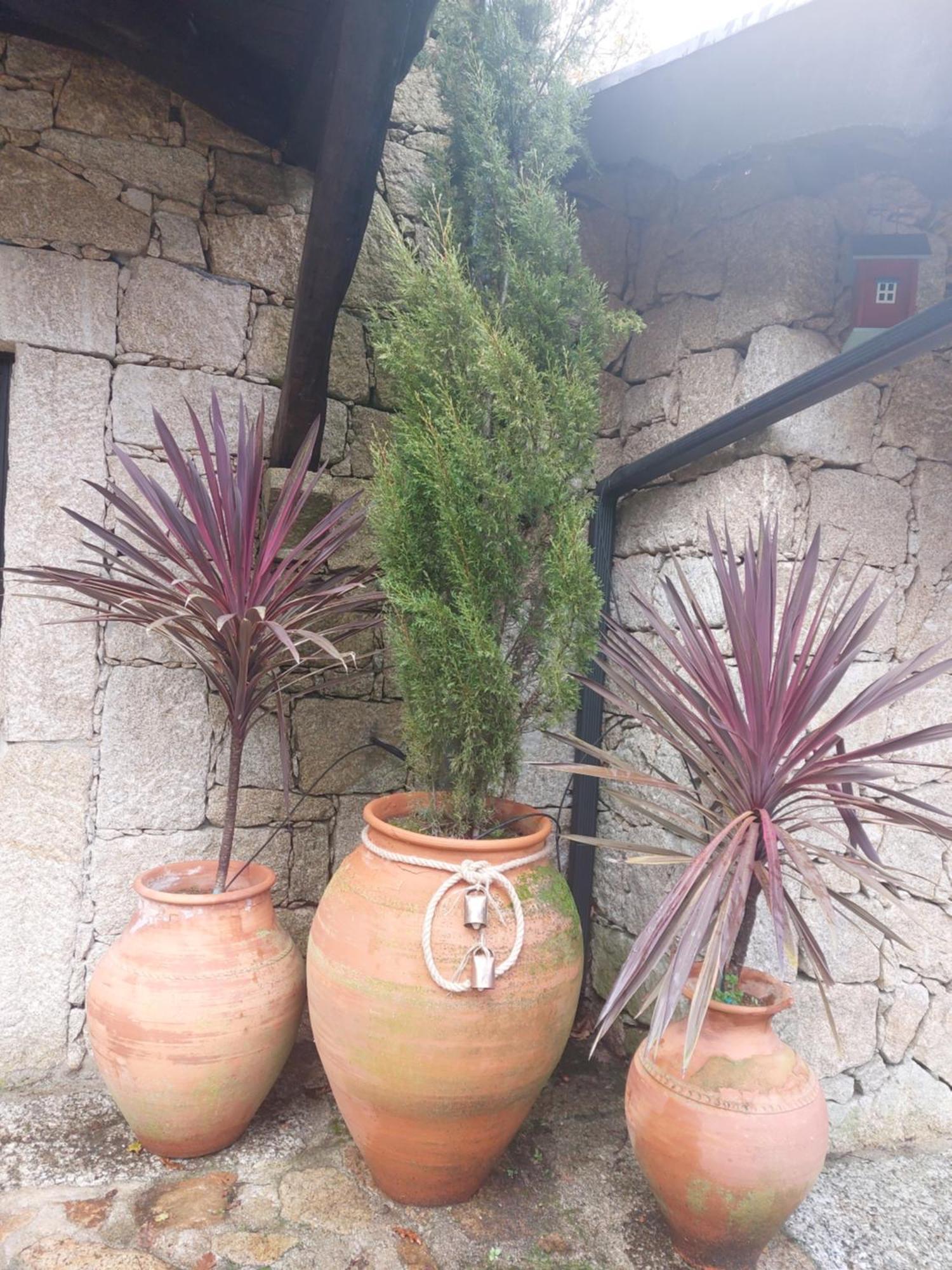 Quinta Do Caneiro Geres Luaran gambar